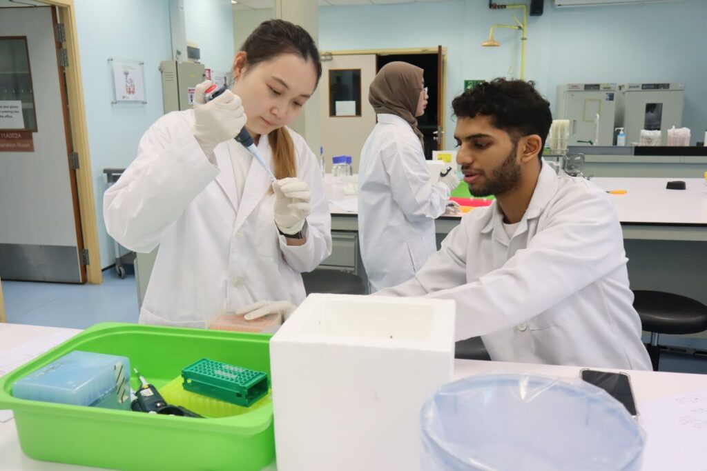 Lab Image 3